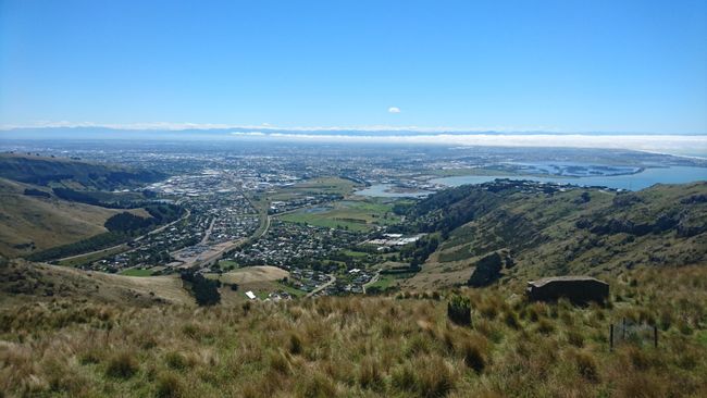 Blick auf Christchurch 