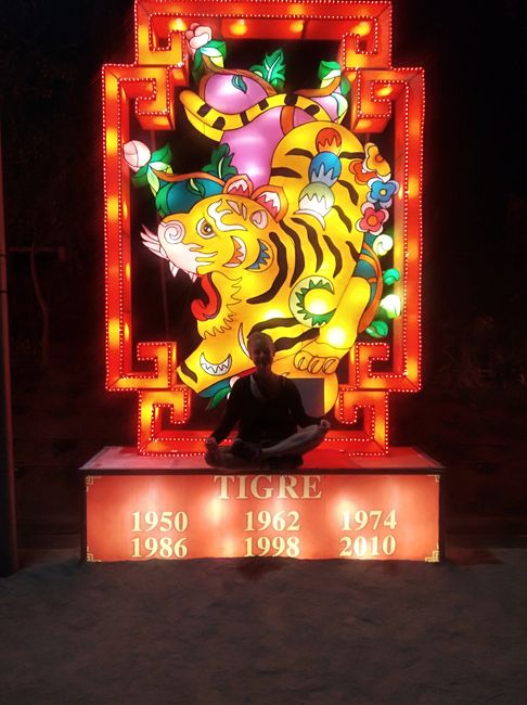 Ich bin im Jahr des Tigers geboren