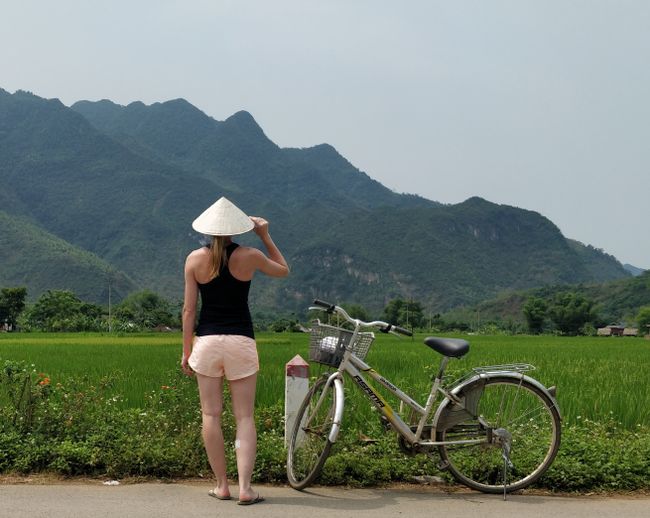 Reisfelder von Mai Chau