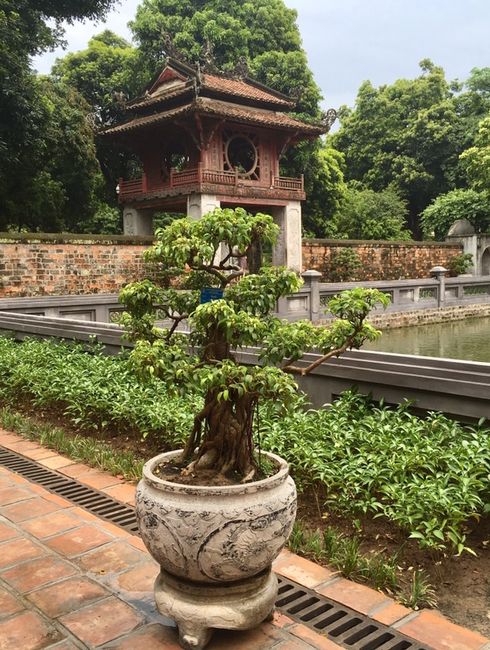 VIETNAM- Mountains, Lights, and FOOD!