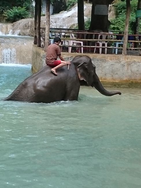 Zum Baden
