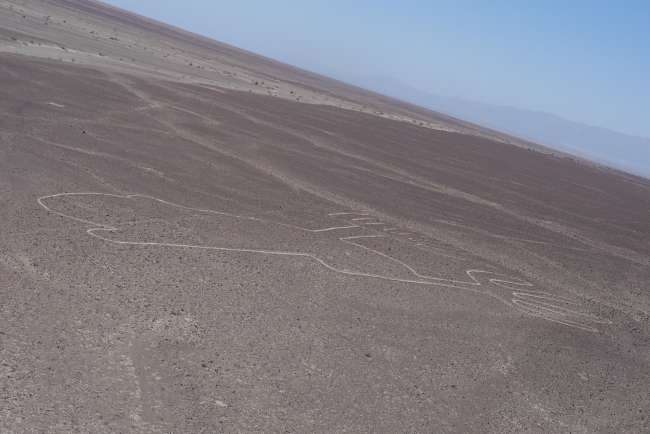Nazca Lines le Huacachina Oasis