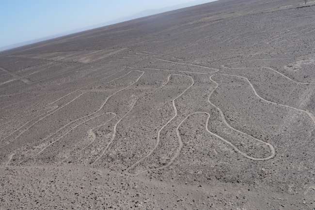 Nazca Lines le Huacachina Oasis