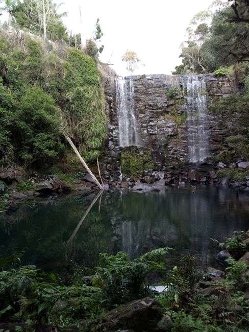 Secret Waterfall in Kerikeri