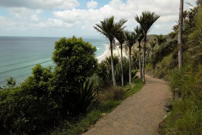 Mangawhai Cliff Walkway