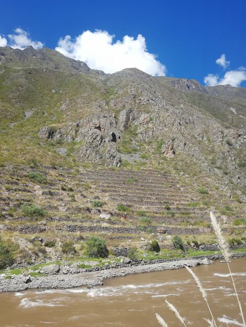 Terrassenfeldbau auf dem Weg zum Machu Picchu