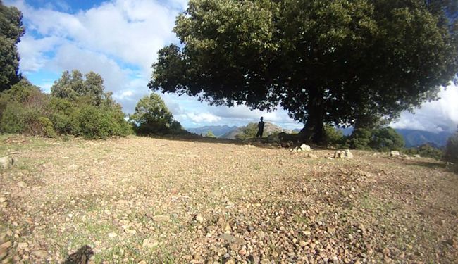 #9 Corsica ၏ အနောက်ဘက်ကမ်းရိုးတန်းတွင် အတက်အဆင်း