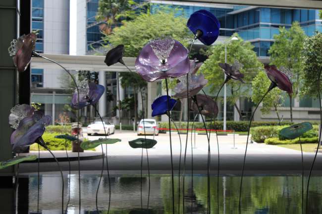 Canopy walk in Singapore