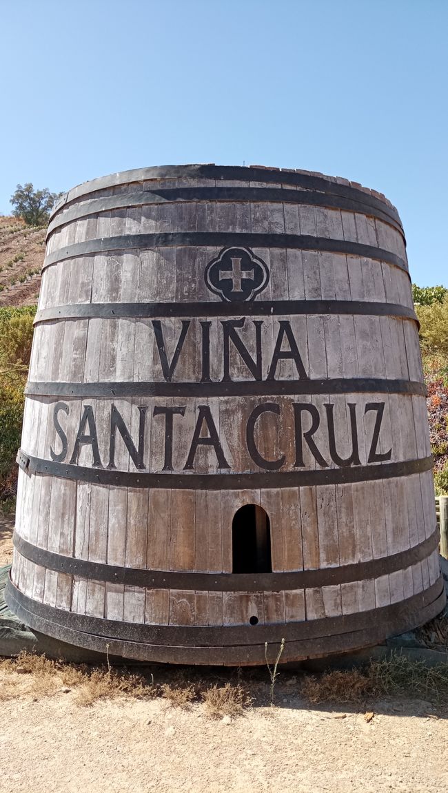 Santa Cruz und der Wein