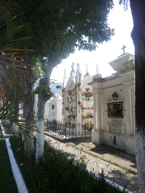 Cemetery Antigua