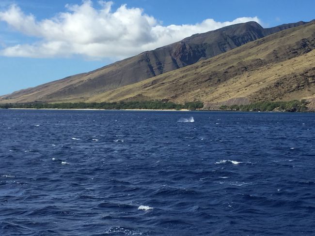 Maui - Hawai llaqtapi