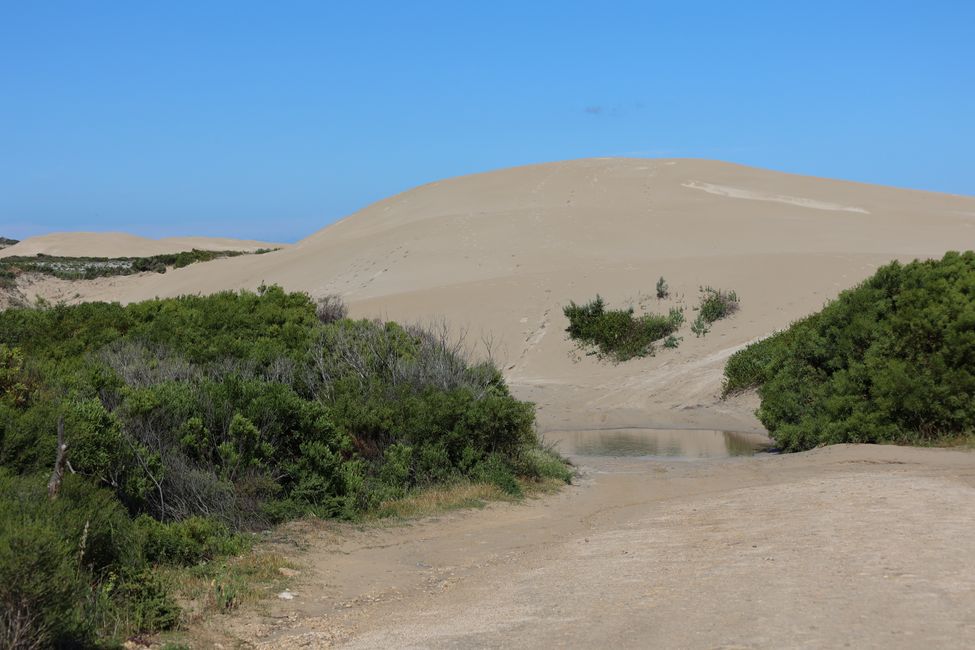 sand dunes in Lincoln National Park