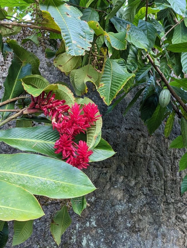 Ilha Grande - Brasiliens Trauminsel