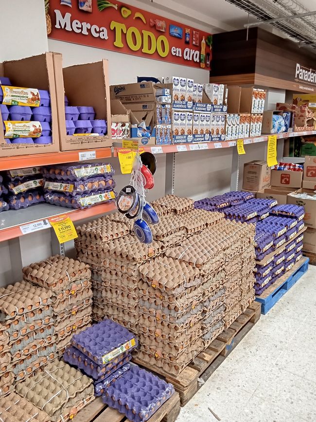 Bonusbild Supermarkt: Eier