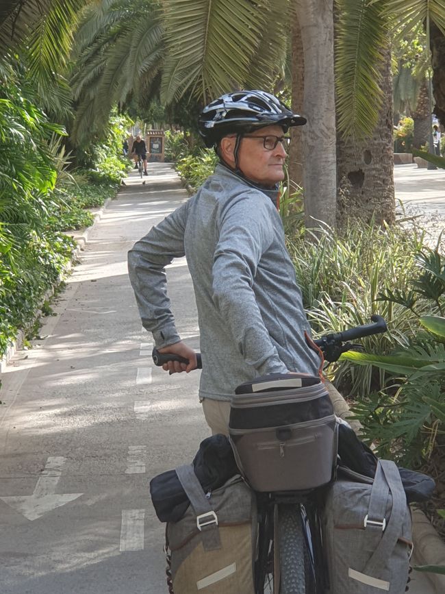 Bike path under palm trees in Malaga