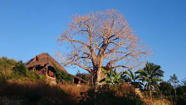 RGV Haus und Baum mit Aussichtsplatform