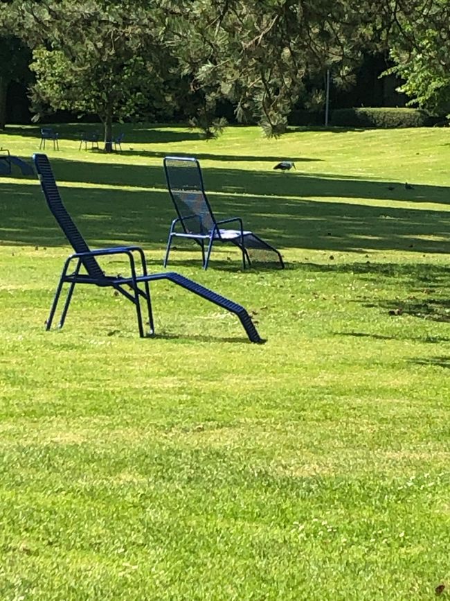 Lounge chairs are available on the meadows for all visitors - only the stork has to provide for food