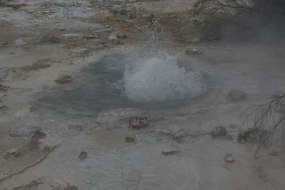 Orakai Korako Thermalgebiet - Mini-Geysir-Ausbruch