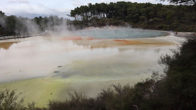 Tag 9 Wai-O-Tapu Thermal Wonderland