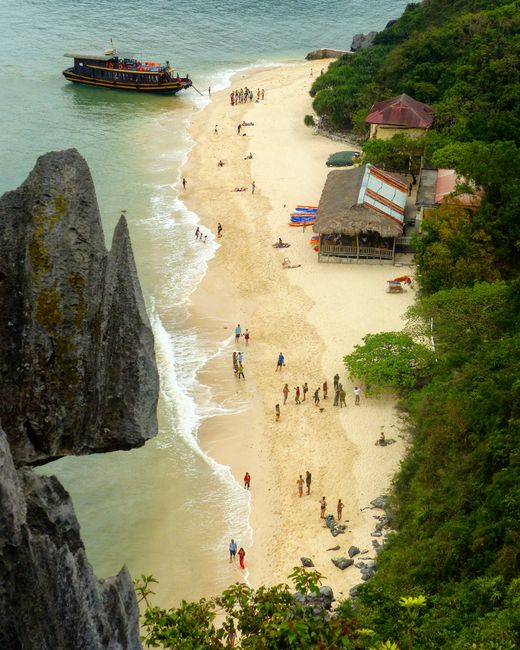 Cát Bà & the bay of the diving dragon