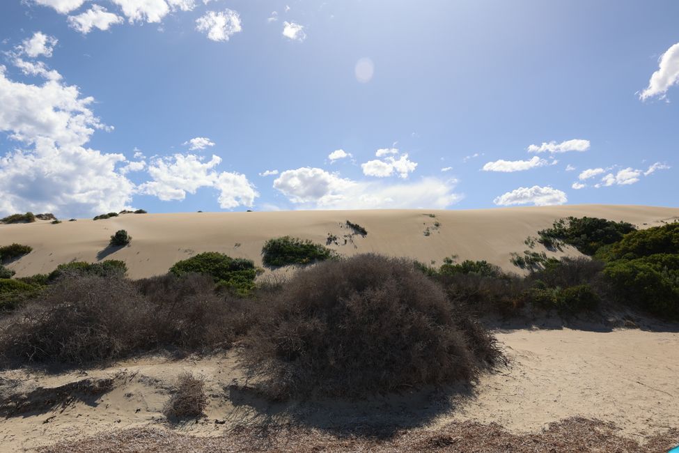 Fowlers Bay sand dunes