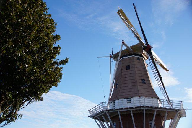 Windmill in Foxton