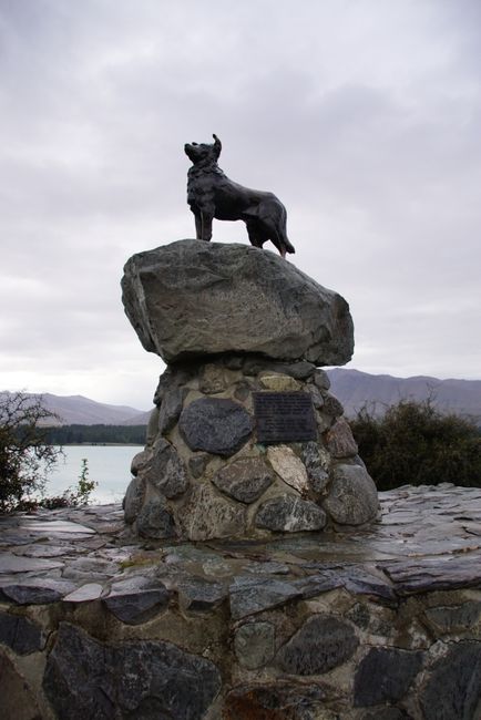 "Collie - The Sheepdog Memorial"