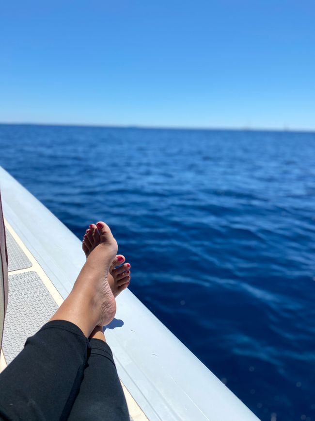 Die alte Frau und das Meer