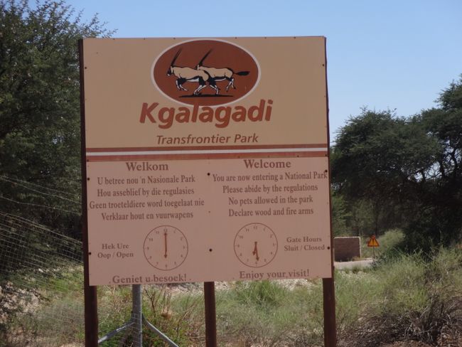 5 Ambil Kgalagadi Transfrontier Park