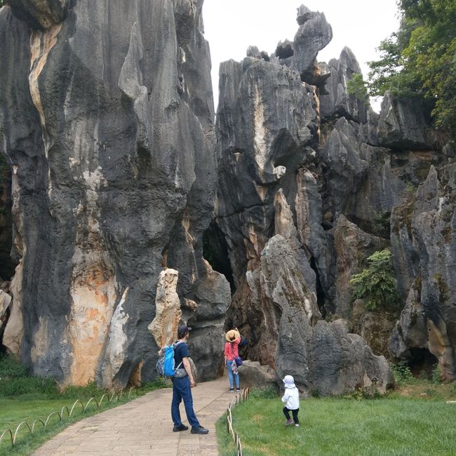 Yunnan-Shilin Stone Forest