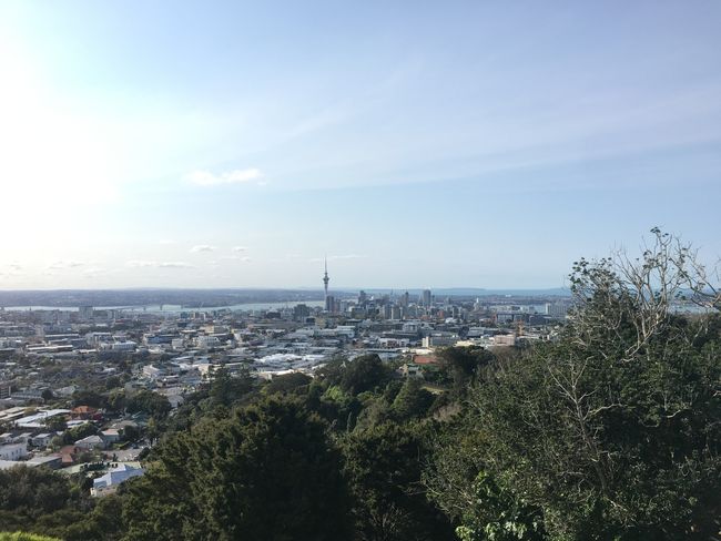 Die wundervolle Skyline Auckland’s vom Mount Eden