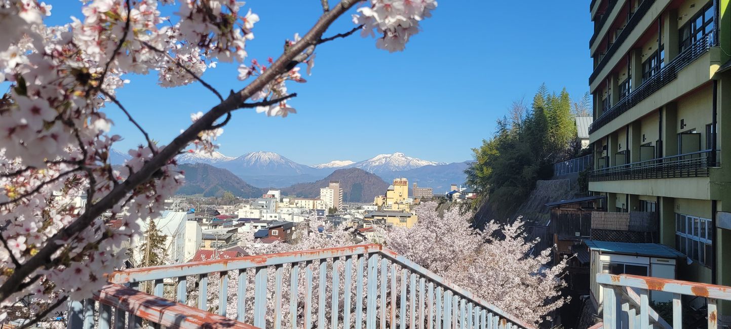 Sakura und Schnee 
