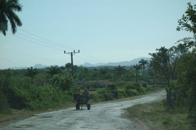 Compañeros típicos en la carretera 