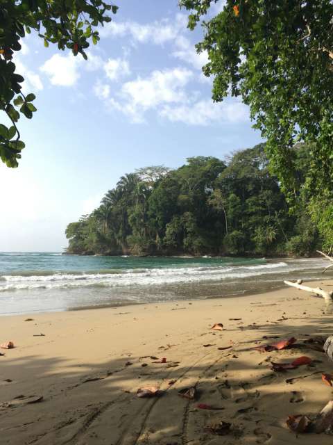 Playa Cocles in Puerto Viejo.