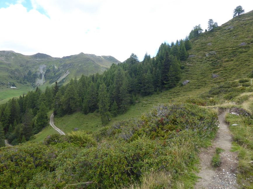 The Almenrunde from/to Navis - 7 hours, 700 meters altitude, 26,000 steps