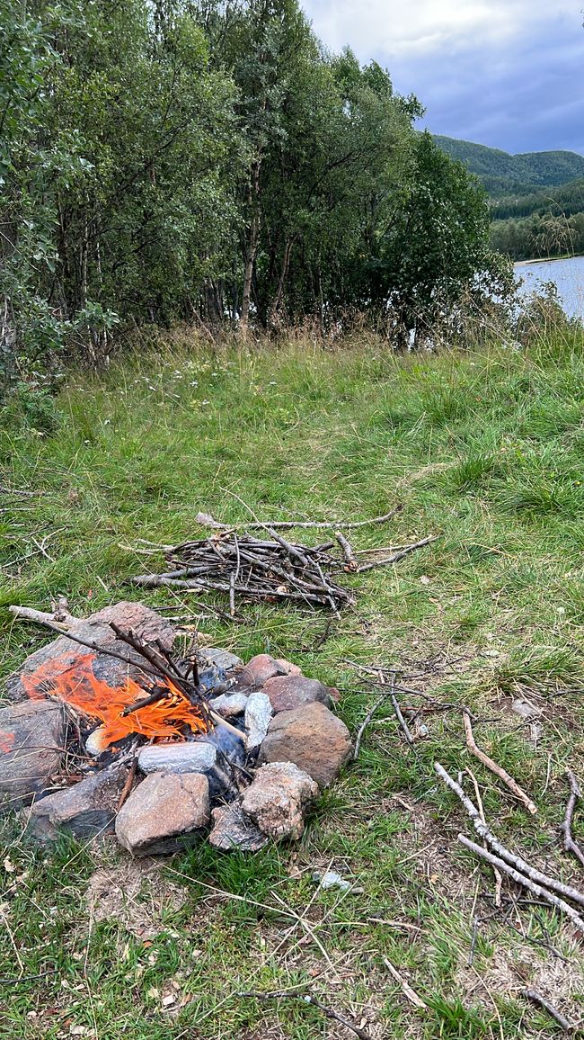 Campfire romance in Harstad 🔥🌲💛
