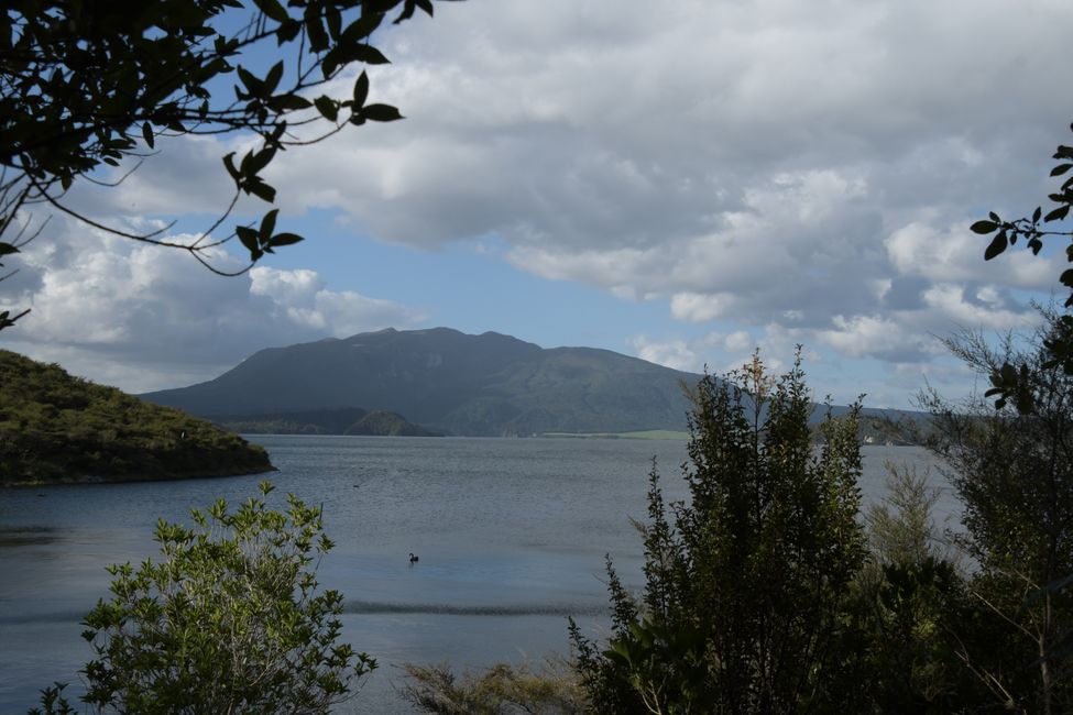 Waimangu Volcanic Valley - Blick über Lake Rotomahana zum Mt.Tarawera
