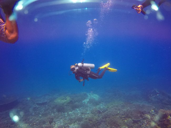 Diving in Labuan Bajo, Flores, Indonesia