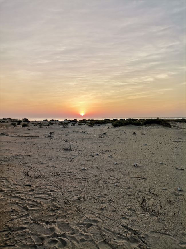 KSA, Near the Red Sea