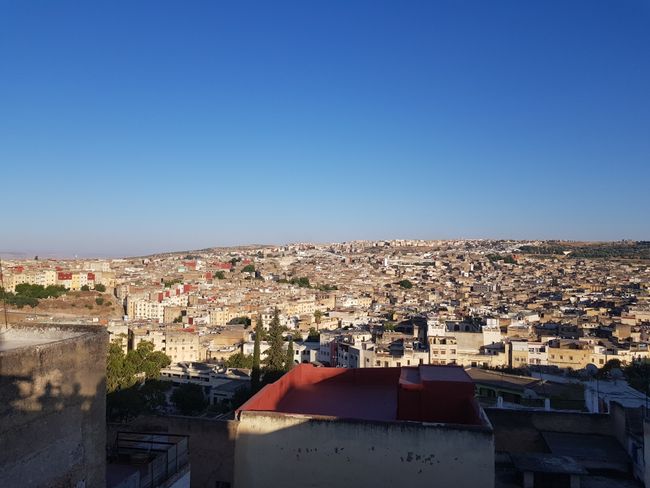 Lost in Fes