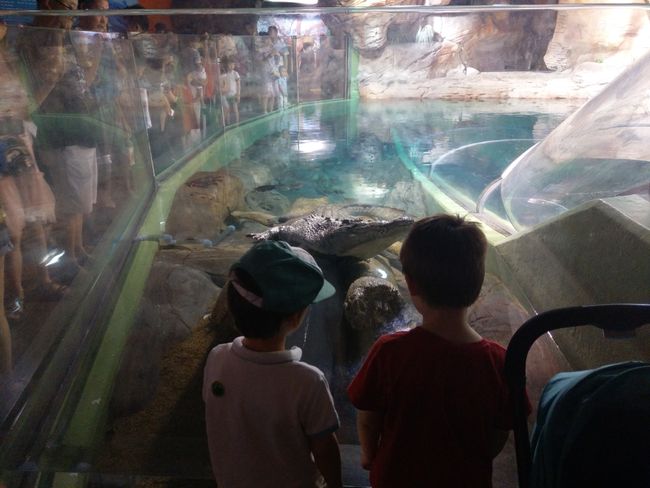 Shanghai Ocean Aquarium