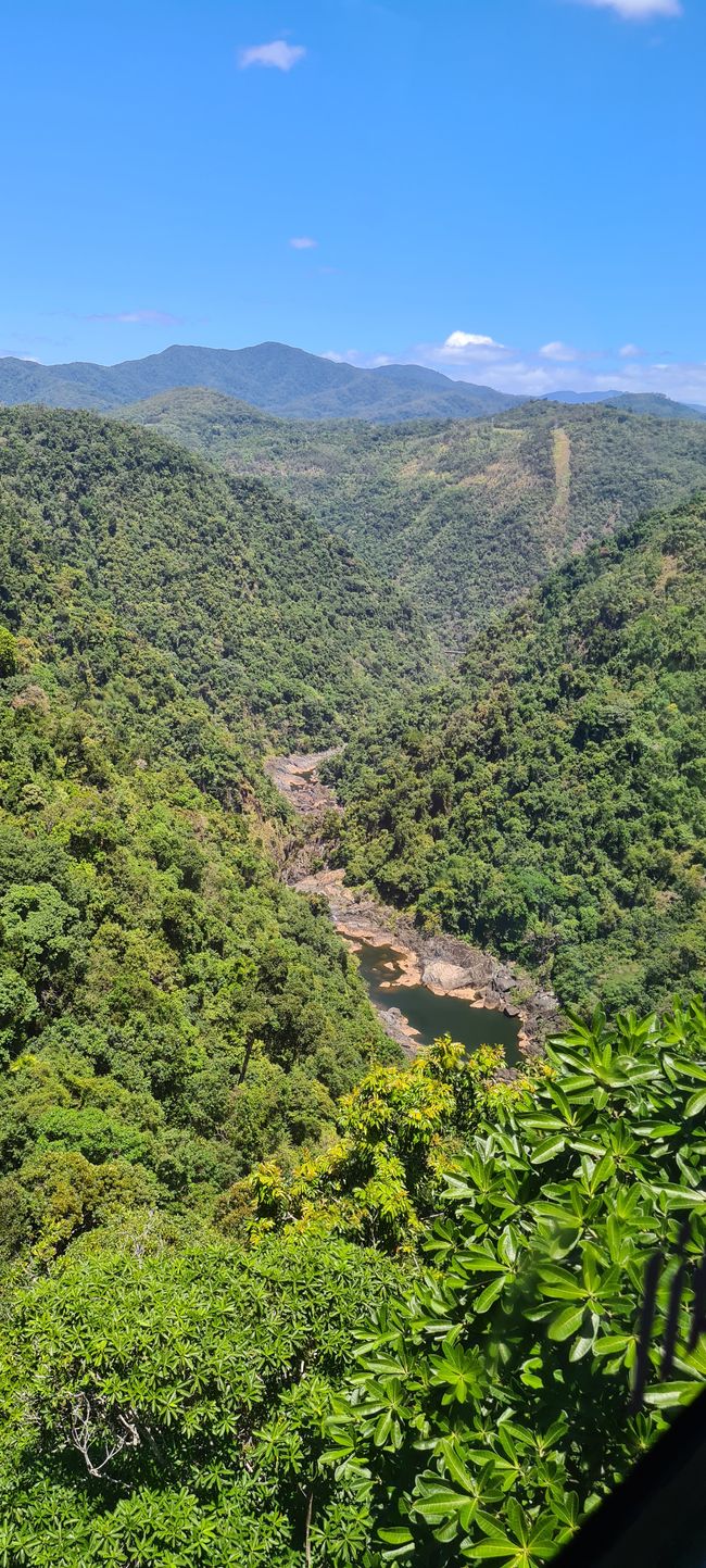 Day 14/15 - Kuranda