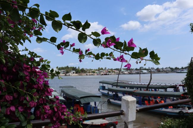 Flowers and boats.