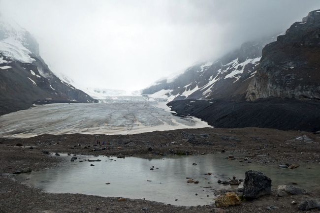 Columbia Icefield (am Icefields Parkway)