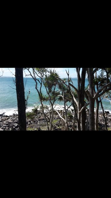 Noosa - beautiful National park, baaaad sunburn