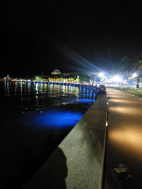 promenade at night
