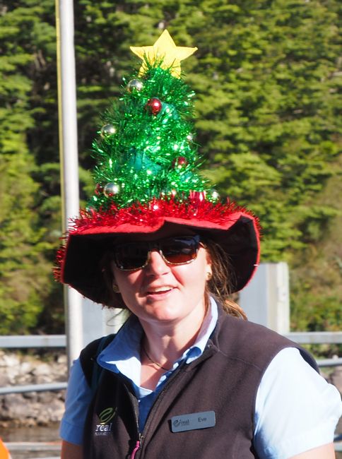 25.12.18 Zu Weihnachten in den Doubtful Sound