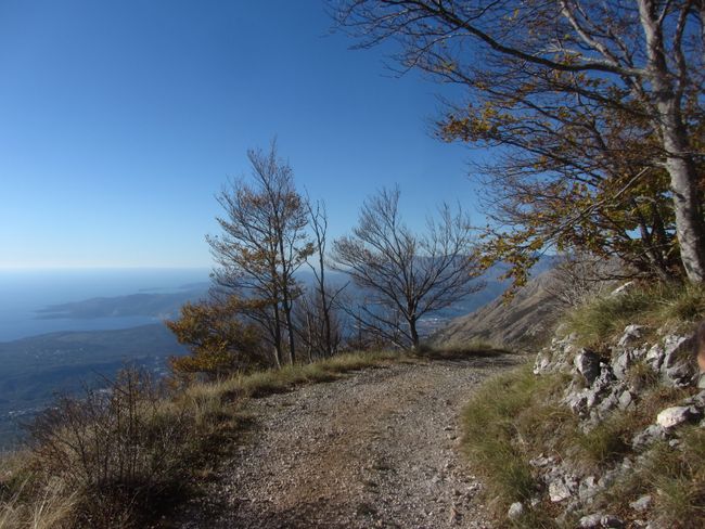 Montenegro: Lovcèn Nationalpark