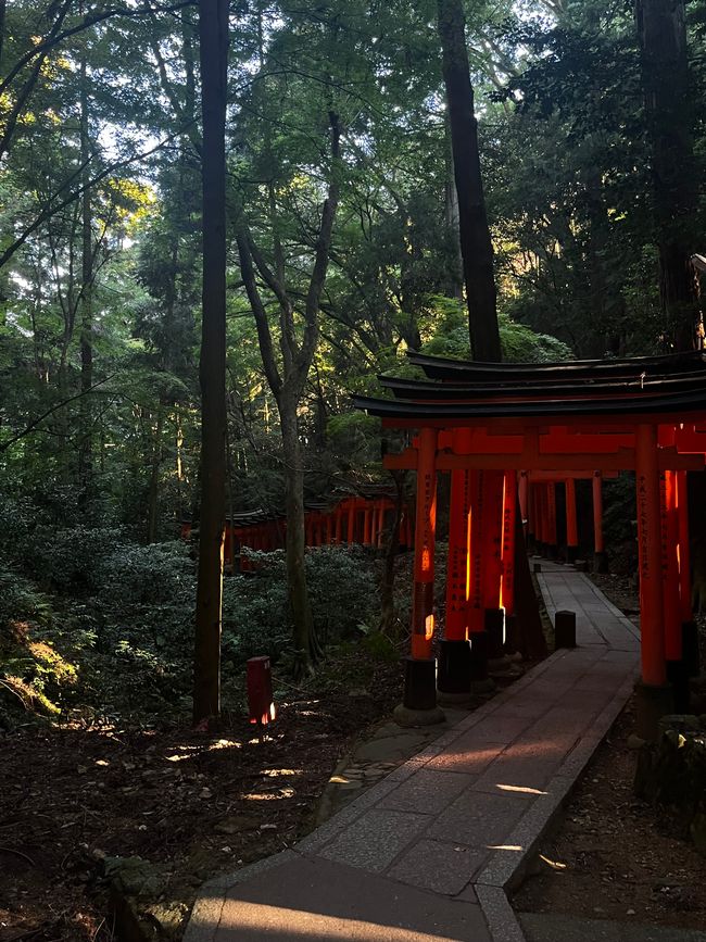 A shrine on the hiking trail to the top