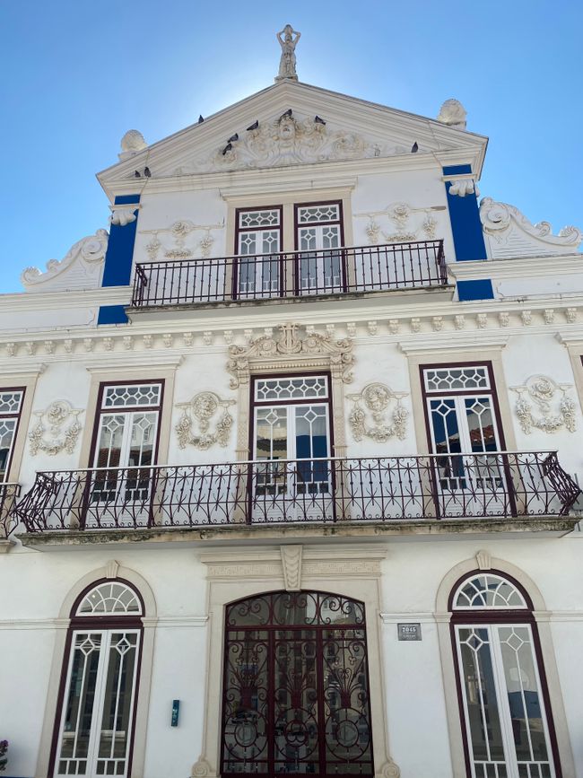 🌳 ☀️ 💦